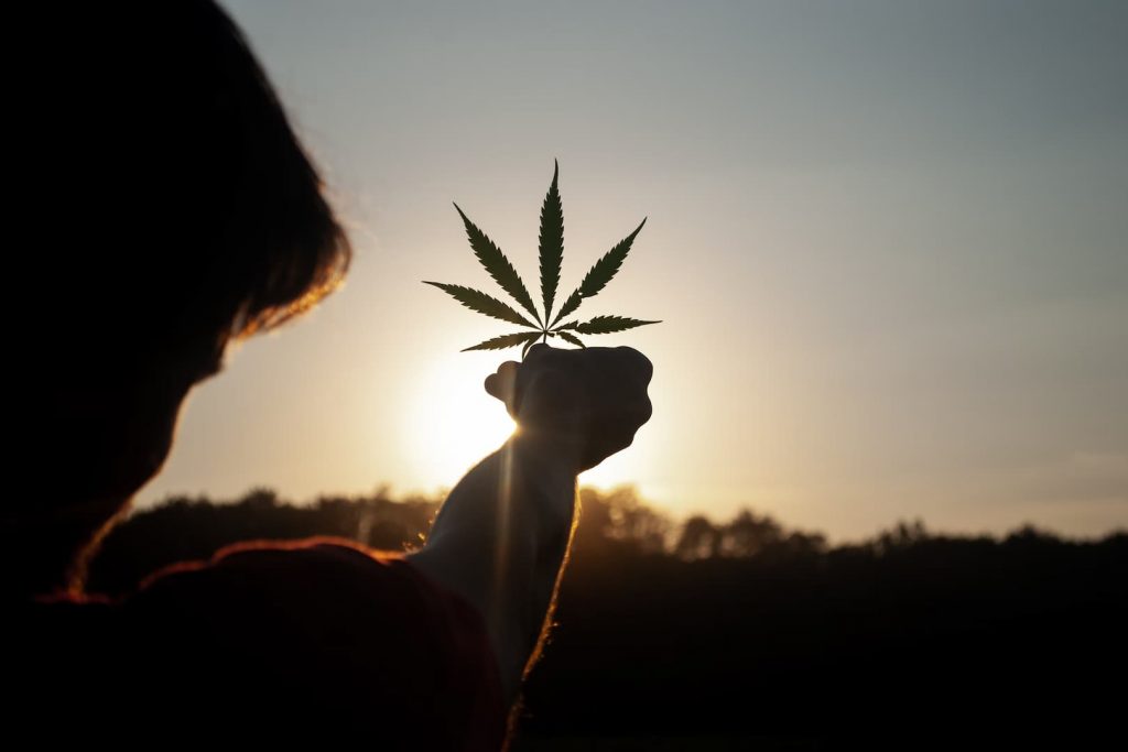 Quels sont les principaux bienfaits du cannabis médicinal ?
