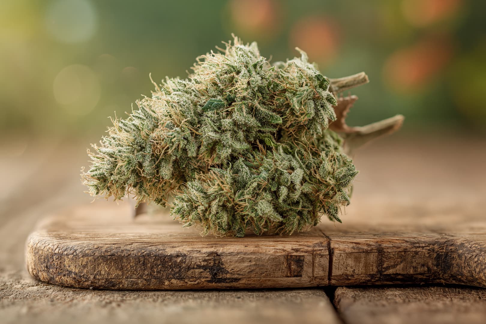 Fleur de CBD séchée et dense, riche en cristaux de résine, posée sur une planche en bois avec un éclairage naturel chaleureux.