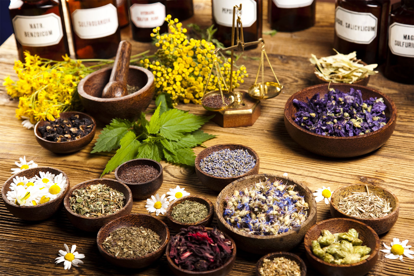 Devenir herboriste formation Herboristerie, diplôme, salaire et débouchés