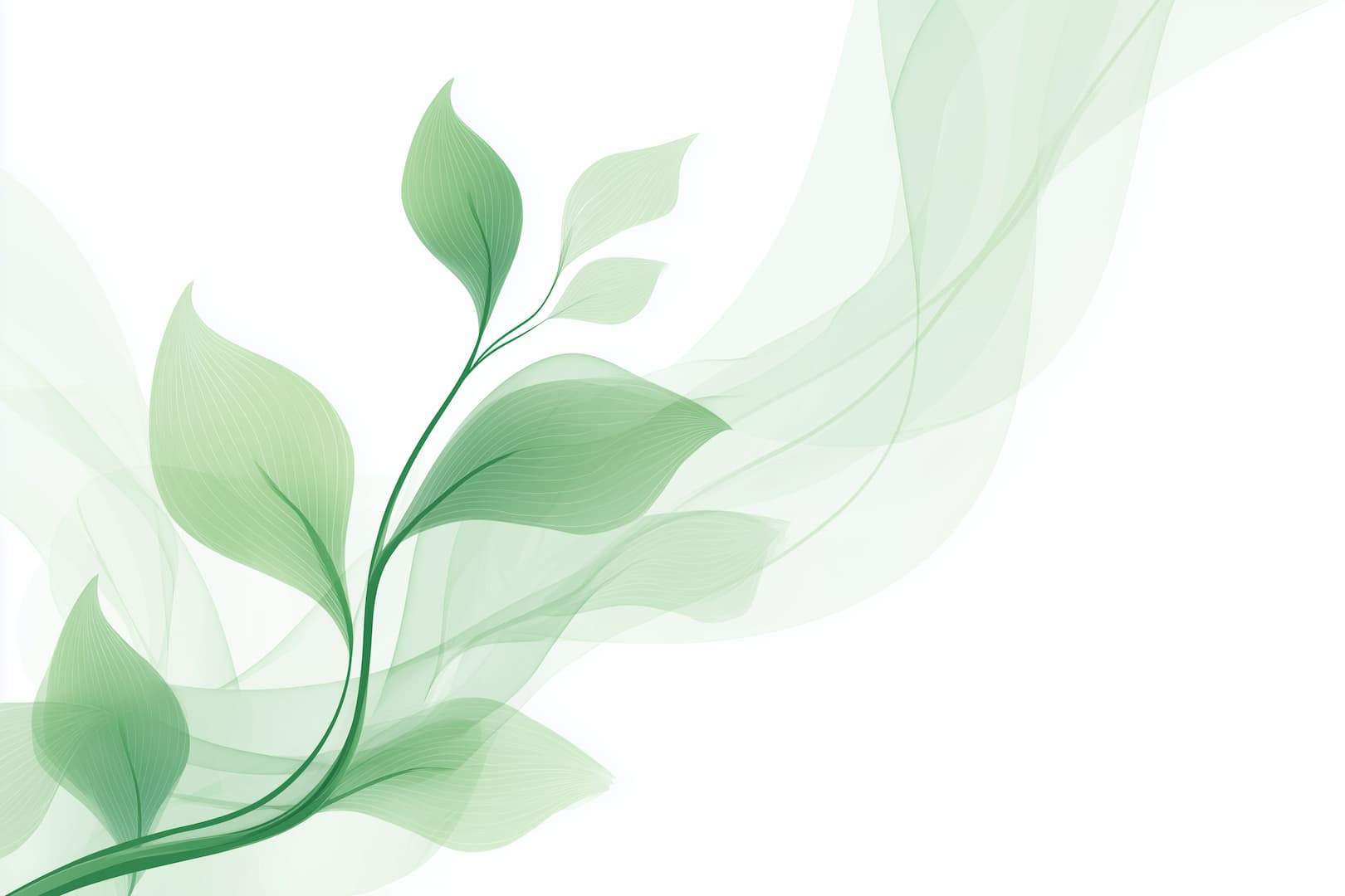 Illustration abstraite de feuilles vertes légères sur fond blanc, symbolisant la nature, la pureté et la respiration végétale.